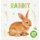 Rabbit (Hardcover): Shalini Vallepur
