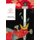 The Wind-Up Bird Chronicle (Vintage Classics Japanese Series) (Paperback): Haruki Murakami