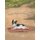 Les Aventures de Carlos - Carlos Part en Vacances (French, Paperback): Alex Goubar