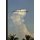 Remembering the Future (English, Japanese, Hardcover): Angel Albarran, Anna Cabrera