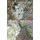 Les dolmens de Montcuq (French, Paperback): Stephane Ternoise