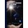 The Adamic Language and Calendar - The True Bible Code (Paperback): David B Cohen