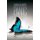 Panic (Hardcover, Reprint): Sharon M Draper