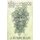 The King of The Wood - Book One of THE WOOD (Paperback): Neil Dring
