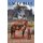 Lacey Blue and the Rejects - Looking For a Home (Paperback): Bill Hart