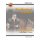 GCSE English Shakespeare - The Merchant of Venice Workbook (includes Answers) (Paperback): CGP Books