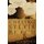 Chasing Sylvia Beach (Paperback): Cynthia Morris