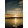 Sermones para un Mundo en Ocaso (Spanish, Hardcover): Alfonso Galvez