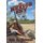 Mexico Sky - a western novel (Hardcover): Al P Bringas