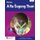 Platinum a re sogeng thari: Gr 3: Learner's book - Home language (Sotho, Northern, Paperback): 
