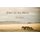 Spirit of the Wind - A Photographic Celebration of the Wild Horses of the Namib Desert (Hardcover): Miona Janeke