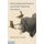 Environmental Practice and Early American Literature (Hardcover, New): Michael Ziser