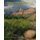 A Journey Through Mukuntuweap - The History Of Zion National Park (Paperback): David Oswald