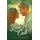 Love's Call (Large print, Hardcover, Large type / large print edition): Betty McLain