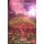 Segora - Speak 2 Spirits (Paperback): Louis C. Douglas