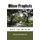 Minor Prophets - not so minor (Paperback): Maxwell R Watson