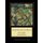Small Pear Tree in Bloom - Van Gogh Cross Stitch Pattern (Large print, Paperback, Large type / large print edition): Kathleen...