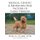 Medical, Genetic & Behavioral Risk Factors of Cairn Terriers (Paperback): DVM Ross D Clark