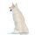 Swiss Shepherd Affirmations Workbook Swiss Shepherd Presents - Positive and Loving Affirmations Workbook. Includes: Mentoring...