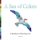 A Sea of Colors - A Rainbow of Sea Glass Art (Paperback): Kirsti Scott