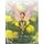 Unicorns & Pixie Dust - A Dreamer's Coloring Book (Paperback): Brandy Woods
