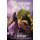 Dragons and Dreams - A Fantasy Anthology (Paperback): Mandy White, David W. Stone, Diana Garcia