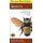Peterson First Guide To Insects Of North America (Paperback, 2 Revised Edition): Roger Tory Peterson
