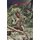 NEMARLUK - King of the Wilds (Paperback, 2020 ed.): Ion Idriess