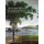 Folk Art Murals of the Rufus Porter School: New England Landscapes: 1825-1845 (Hardcover): Linda Carter Lefko