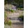 My Garden is a Car Park - and other Design Dilemmas (Paperback): Kendra Wilson