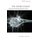 The Neuro-Image - A Deleuzian Film-Philosophy of Digital Screen Culture (Hardcover, New): Patricia Pisters