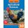 Study & Master Agricultural Sciences Teacher's Guide Grade 10 Teacher's Guide Grade 10 (Paperback): Altus Strydom,...