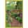 Gardening with the Spirit (Paperback): Teresa Cash