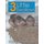 The 3 Little Swallows (Hardcover): Ernesto Amaranto