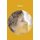 Faces (Paperback): Kathy Carman Henderson