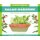 Super Simple Salad Gardens: - A Kid's Guide to Gardening (Hardcover): Alex Kuskowski