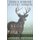The Legend of Grey Ghost and Other Tales From the Maine Woods (Paperback): Steven T Remington, Thomas K. Remington