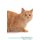 Kurilian Bobtail Affirmations Workbook Kurilian Bobtail Presents - Positive and Loving Affirmations Workbook. Includes:...