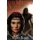 The Burden of the Crown (Paperback): Selina Rosen