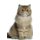 Persian Cat Affirmations Workbook Persian Cat Presents - Positive and Loving Affirmations Workbook. Includes: Mentoring...