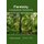 Forestry: A Sustainable Perspective (Hardcover): Timothy Armstrong