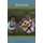 River of Tears - Country Music, Memory, and Modernity in Brazil (Paperback): Alexander Dent