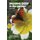 Digging Deep in the Garden, Book Four (Paperback): John Walker