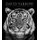 David Yarrow Photography - Americas Africa Antarctica Arctic Asia Europe (Hardcover): David Yarrow, Tom Brady