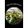 Fiber Diet Salad Recipes - Cut Calories And Increase Satisfaction (Paperback): Jeanine Gautreaux