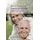 Generation 50 plus - Ratgeber fur Menschen in den besten Jahren (German, Hardcover, 2006 ed.): Erika Folkes, Gerald Gatterer