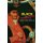 Black in Latin America (Paperback): Henry Louis Gates Jr