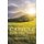 Capsule for the Day (Paperback): Francis M Afu