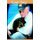 The Coon Dog Chronicles (Hardcover): Randy Jackson