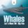 Whales - Let's Meet Mr. Big Fins (Paperback): Baby Professor